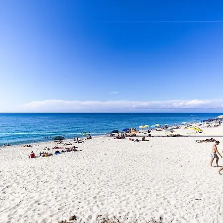 Diantha Tropea